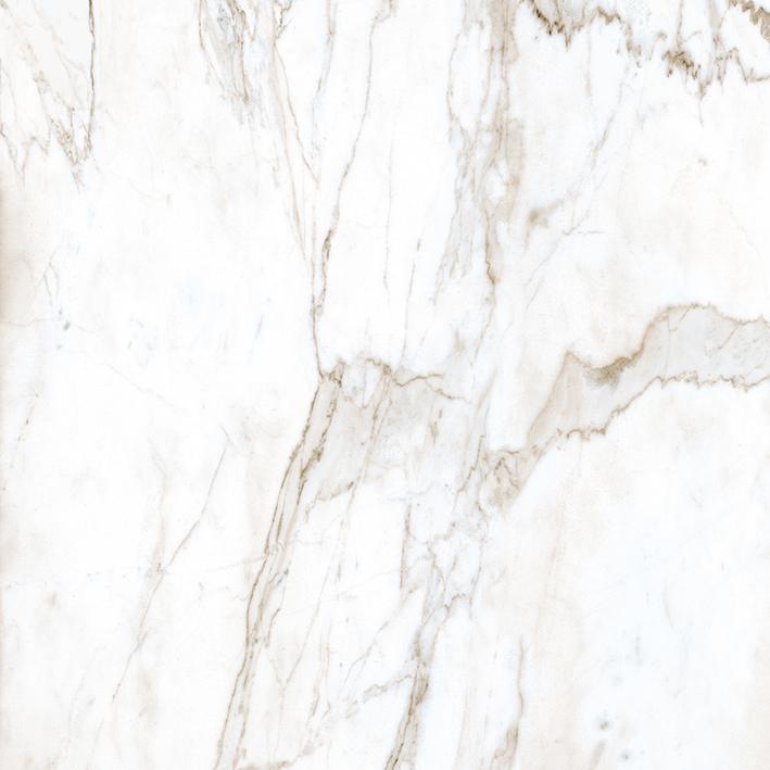 Marble Trend ������������ K-1001 MR 60x60 Calacatta