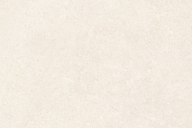 8262     20306,9