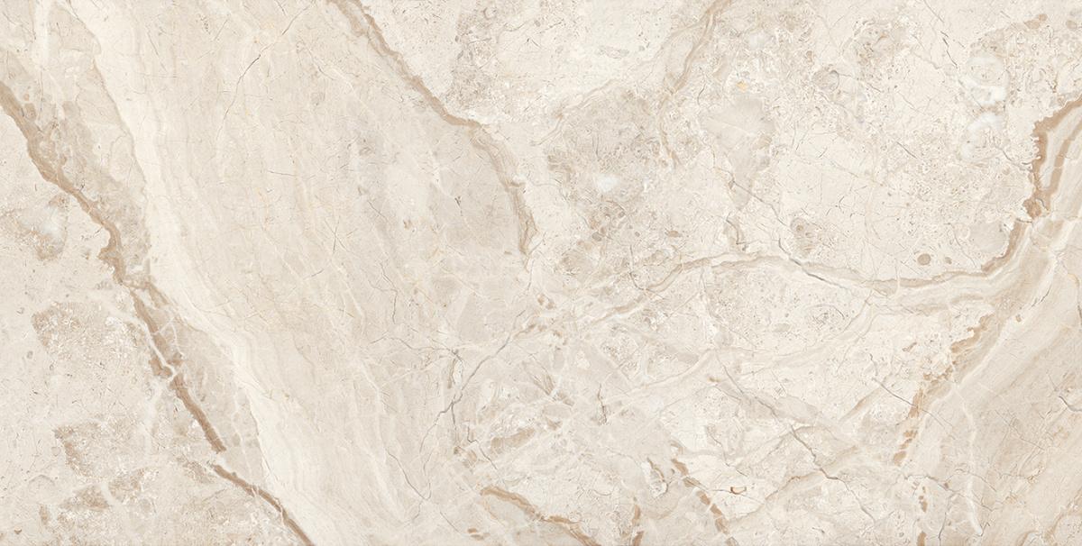 BREACH SILVER ������������ ������-����� 60X120 ������������