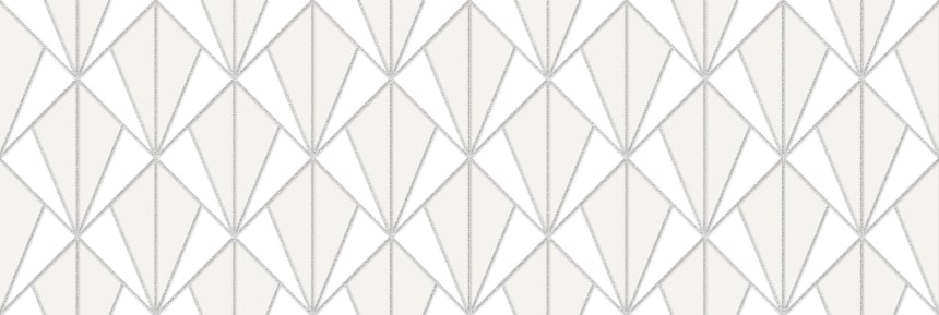  1   (1664-0202) 20x60