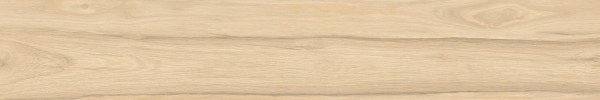 Selva   SG517620R 19,6119,5